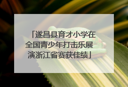 遂昌县育才小学在全国青少年打击乐展演浙江省赛获佳绩