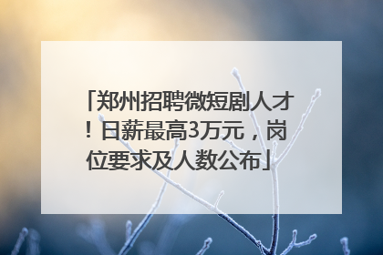 郑州招聘微短剧人才！日薪最高3万元，岗位要求及人数公布