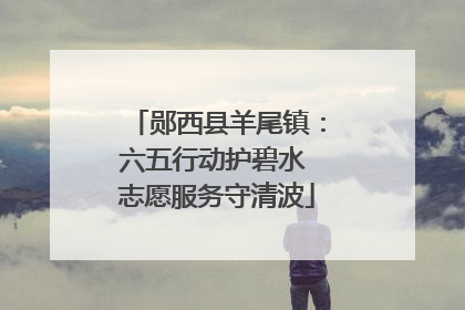 郧西县羊尾镇：六五行动护碧水 志愿服务守清波