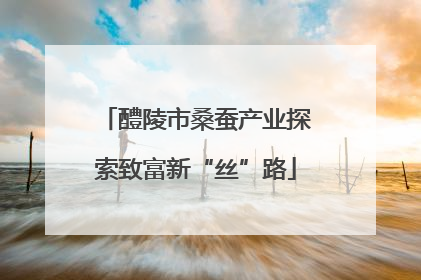 醴陵市桑蚕产业探索致富新“丝”路