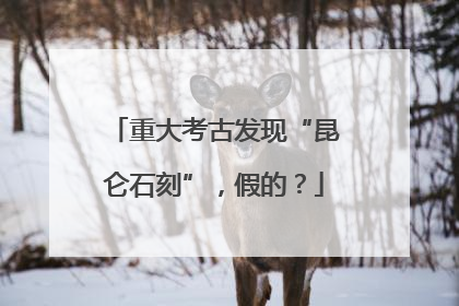 重大考古发现“昆仑石刻”，假的？