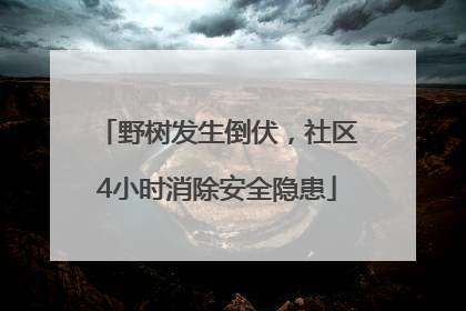 野树发生倒伏，社区4小时消除安全隐患