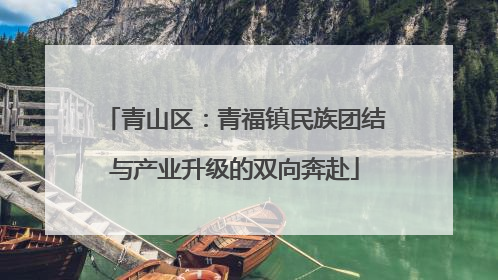 青山区：青福镇民族团结与产业升级的双向奔赴