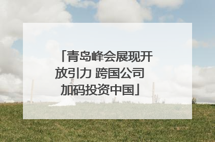青岛峰会展现开放引力 跨国公司加码投资中国