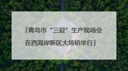 青岛市“三夏”生产现场会在西海岸新区大场镇举行
