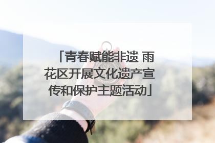 青春赋能非遗 雨花区开展文化遗产宣传和保护主题活动