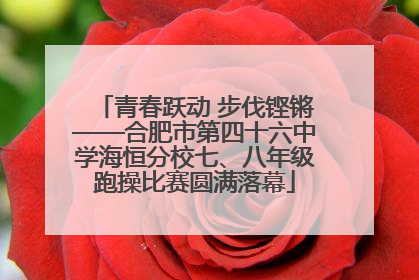 青春跃动 步伐铿锵——合肥市第四十六中学海恒分校七、八年级跑操比赛圆满落幕