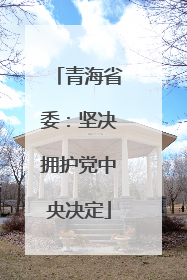 青海省委：坚决拥护党中央决定