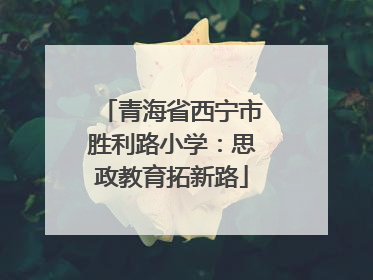 青海省西宁市胜利路小学：思政教育拓新路
