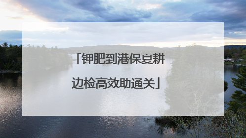 钾肥到港保夏耕 边检高效助通关