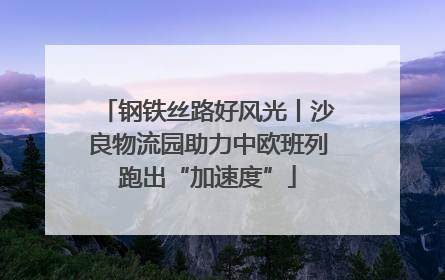 钢铁丝路好风光丨沙良物流园助力中欧班列跑出“加速度”