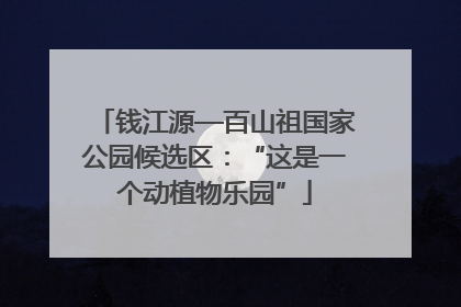 钱江源—百山祖国家公园候选区：“这是一个动植物乐园”