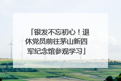 银发不忘初心！退休党员前往茅山新四军纪念馆参观学习