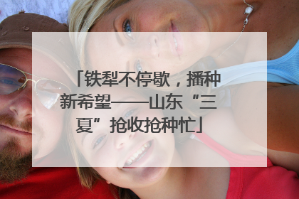 铁犁不停歇，播种新希望——山东“三夏”抢收抢种忙