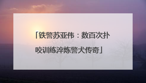 铁警苏亚伟：数百次扑咬训练淬炼警犬传奇
