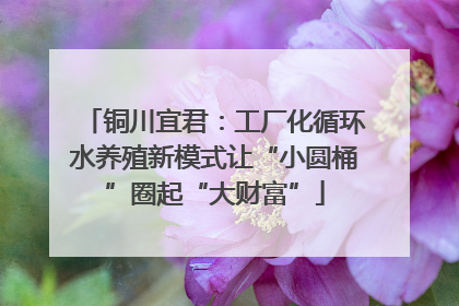 铜川宜君：工厂化循环水养殖新模式让“小圆桶”圈起“大财富”