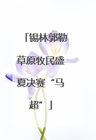 锡林郭勒草原牧民盛夏决赛“马超”