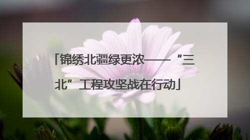 锦绣北疆绿更浓——“三北”工程攻坚战在行动