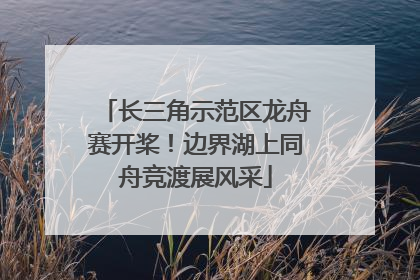 长三角示范区龙舟赛开桨！边界湖上同舟竞渡展风采