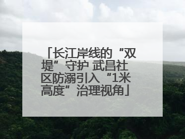 长江岸线的“双堤”守护 武昌社区防溺引入“1米高度”治理视角