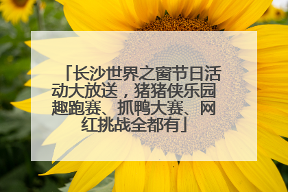长沙世界之窗节日活动大放送，猪猪侠乐园趣跑赛、抓鸭大赛、网红挑战全都有