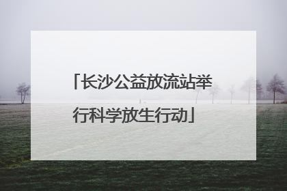 长沙公益放流站举行科学放生行动