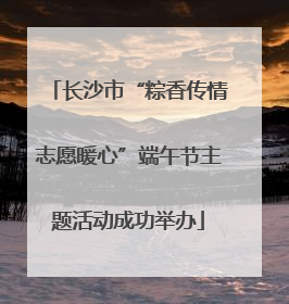长沙市“粽香传情志愿暖心”端午节主题活动成功举办