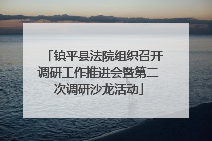 镇平县法院组织召开调研工作推进会暨第二次调研沙龙活动