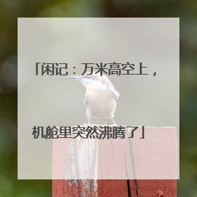 闲记：万米高空上，机舱里突然沸腾了