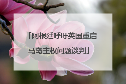 阿根廷呼吁英国重启马岛主权问题谈判