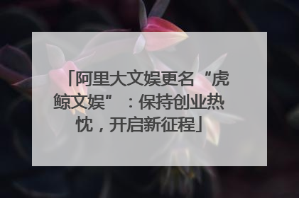 阿里大文娱更名“虎鲸文娱”：保持创业热忱，开启新征程