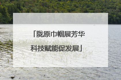 陇原巾帼展芳华 科技赋能促发展
