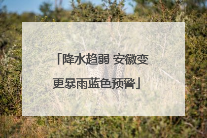 降水趋弱 安徽变更暴雨蓝色预警