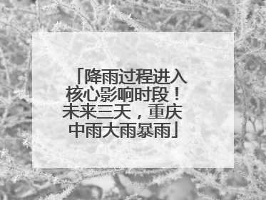 降雨过程进入核心影响时段！未来三天，重庆中雨大雨暴雨