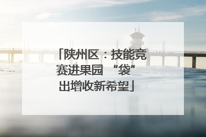陕州区：技能竞赛进果园 “袋”出增收新希望