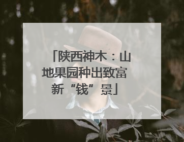陕西神木：山地果园种出致富新“钱”景