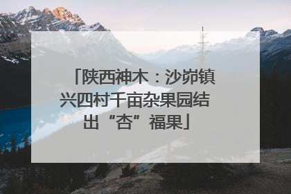 陕西神木：沙峁镇兴四村千亩杂果园结出“杏”福果