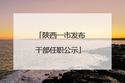 陕西一市发布干部任职公示