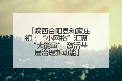 陕西合阳县和家庄镇：“小网格”汇聚“大能量” 激活基层治理新动能