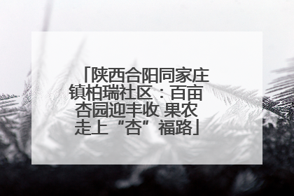 陕西合阳同家庄镇柏瑞社区：百亩杏园迎丰收 果农走上“杏”福路