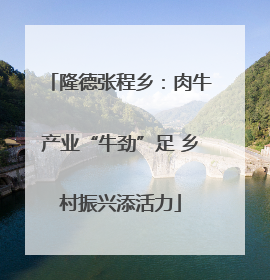 隆德张程乡：肉牛产业“牛劲”足 乡村振兴添活力