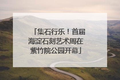 集石行乐！首届海淀石刻艺术周在紫竹院公园开幕