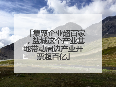 集聚企业超百家，盐城这个产业基地带动周边产业开票超百亿
