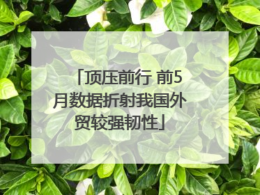 顶压前行 前5月数据折射我国外贸较强韧性
