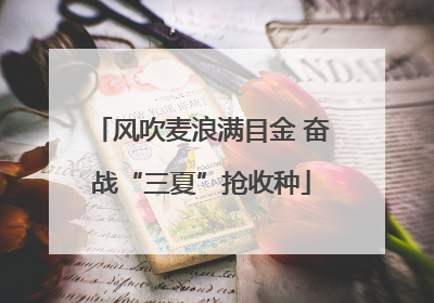 风吹麦浪满目金 奋战“三夏”抢收种