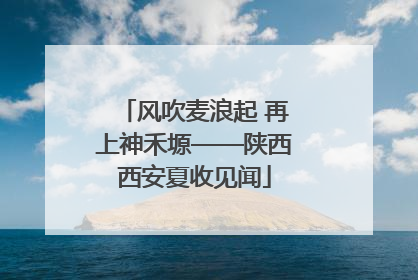 风吹麦浪起 再上神禾塬——陕西西安夏收见闻