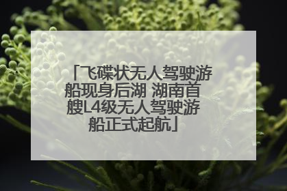 飞碟状无人驾驶游船现身后湖 湖南首艘L4级无人驾驶游船正式起航