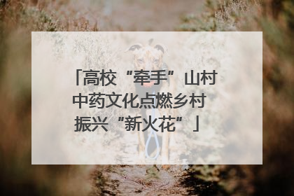 高校“牵手”山村 中药文化点燃乡村振兴“新火花”