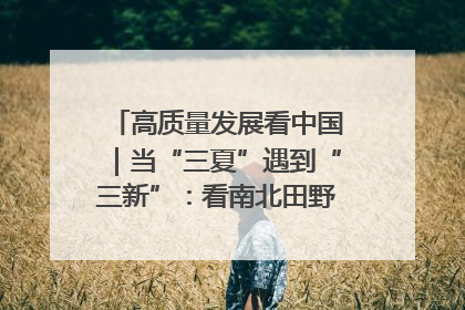 高质量发展看中国｜当“三夏”遇到“三新”：看南北田野里的科技共生记