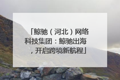 鲸驰（河北）网络科技集团：鲸驰出海，开启跨境新航程